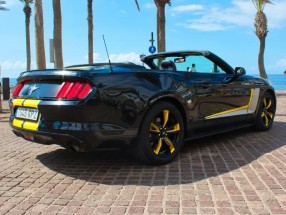 Mustang pirati Tenerife
