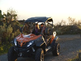 Buggy - Teide Day