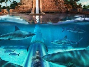 Siam Park