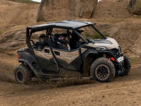 Buggy - Teide Day
