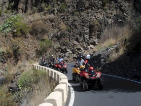 Buggy - Teide Day