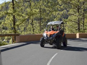 Buggy - Teide Day