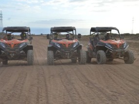 Buggy - Offroad Day