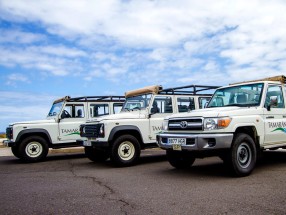 Excursión en Jeep Tamarán en Tenerife