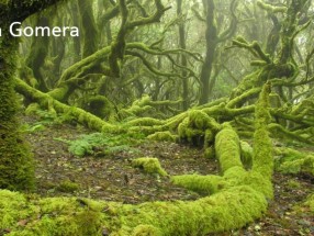 LA GOMERA