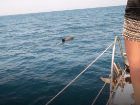 TENERIFE SAILING CHARTERS DE LUJO
