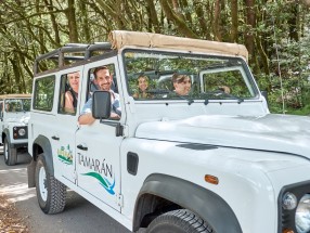 Excursión en Jeep Tamarán en Tenerife