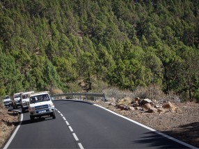 Excursión en Jeep Tamarán en Tenerife