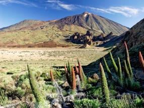TEIDE PARQUE NACIONAL