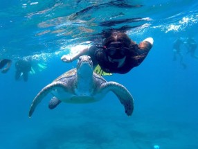 ATLANTIC ECO DIVING BUCEO 