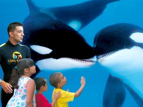 Loro Parque