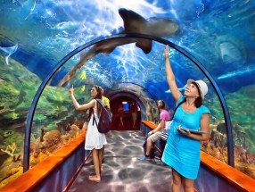 Loro Parque