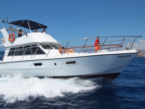 BARCO NEPTUNO