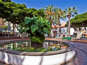 PUERTO DE LA CRUZ