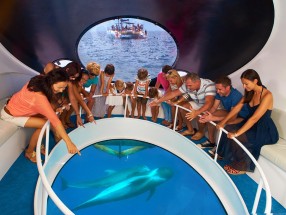 BARCO DIAMANT LANCHA RAPIDA