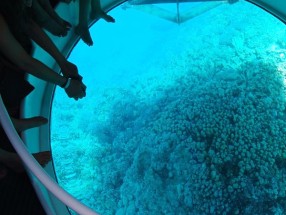 BARCO DIAMANT LANCHA RAPIDA