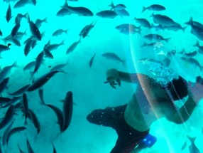 BARCO DIAMANT LANCHA RAPIDA