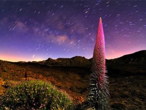 Observación de estrellas en el Teide con cena