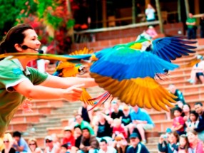 Aqualand + Jungle Park (entrada doble)