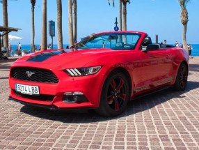 Mustang pirati Tenerife