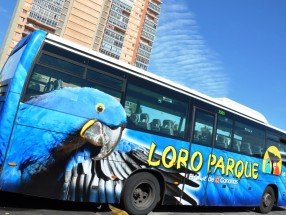 Traslado al Loro Parque (grupo)