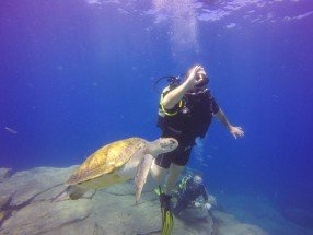 ATLANTIC ECO DIVING BUCEO 